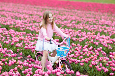 Holland tulipánföld - Holland nyelvtanulás a PONS-on